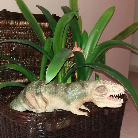 לינה וארוחת בוקר Dinosousa *